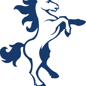 Team Page: McMasters Elementary